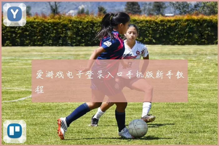 爱游戏电子登录入口手机版新手教程