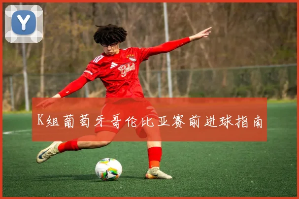K组葡萄牙哥伦比亚赛前进球指南