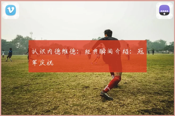 认识内德维德：经典瞬间介绍：冠军庆祝
