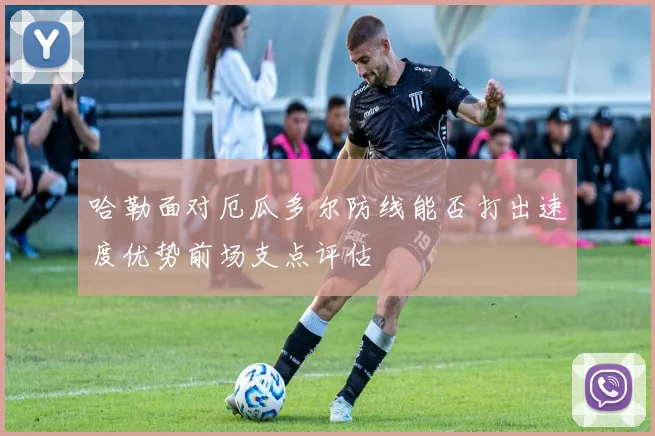哈勒面对厄瓜多尔防线能否打出速度优势前场支点评估
