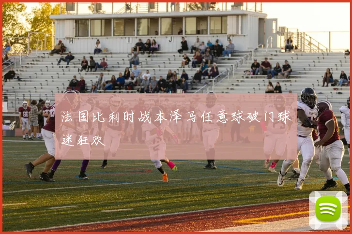 法国比利时战本泽马任意球破门球迷狂欢
