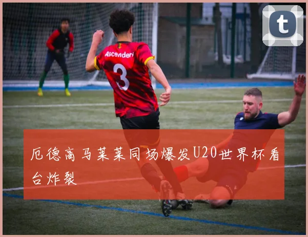厄德高马莱莱同场爆发U20世界杯看台炸裂