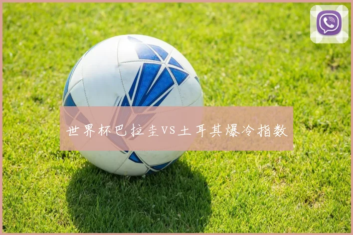 世界杯巴拉圭vs土耳其爆冷指数